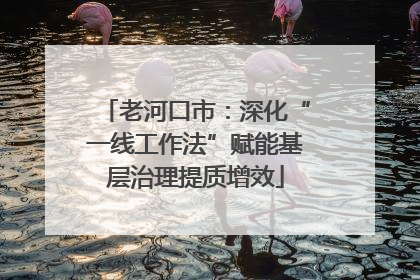 老河口市：深化“一线工作法”赋能基层治理提质增效